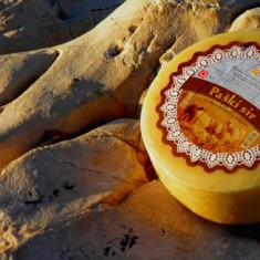 Cheese from island Pag