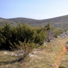 Trail of Romans